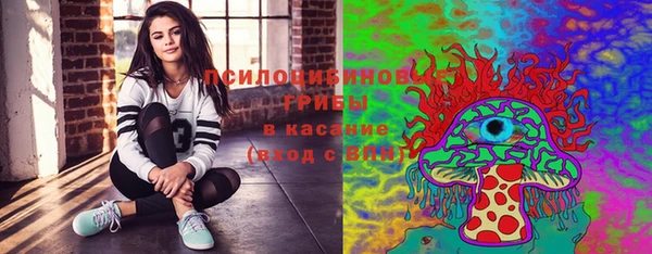 мет Карпинск