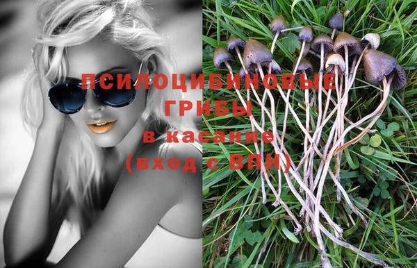 мет Карпинск