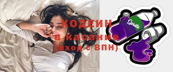 мет Карпинск