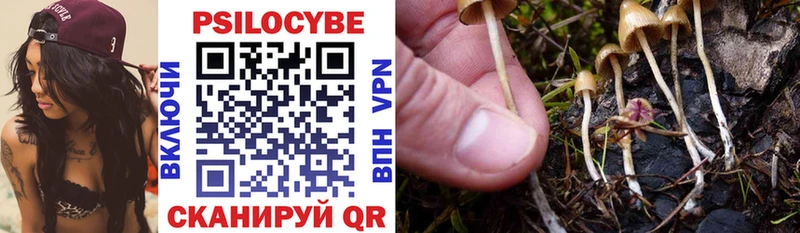 Галлюциногенные грибы Psilocybine cubensis  Купить где  Дальнегорск 